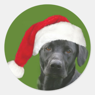 Black lab Christmas Classic Round Sticker