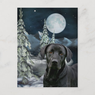 Black lab Christmas Holiday Postcard