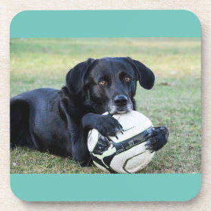 Black lab coasters. Set of six. Coaster
