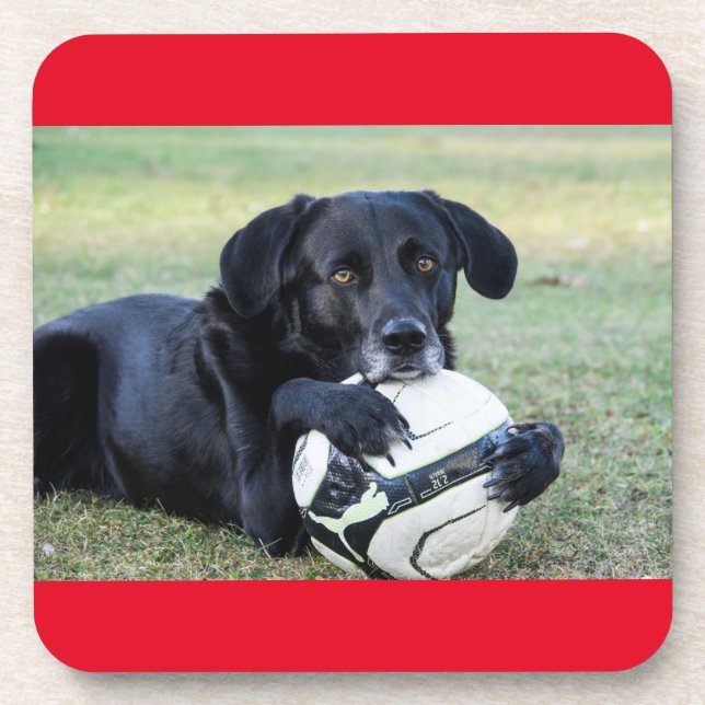 Black lab coasters.  Set of six. Coaster (Front)