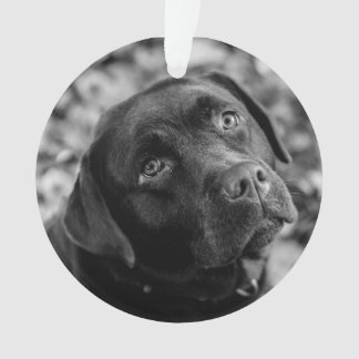 Black Lab customisable Christmas Ornament