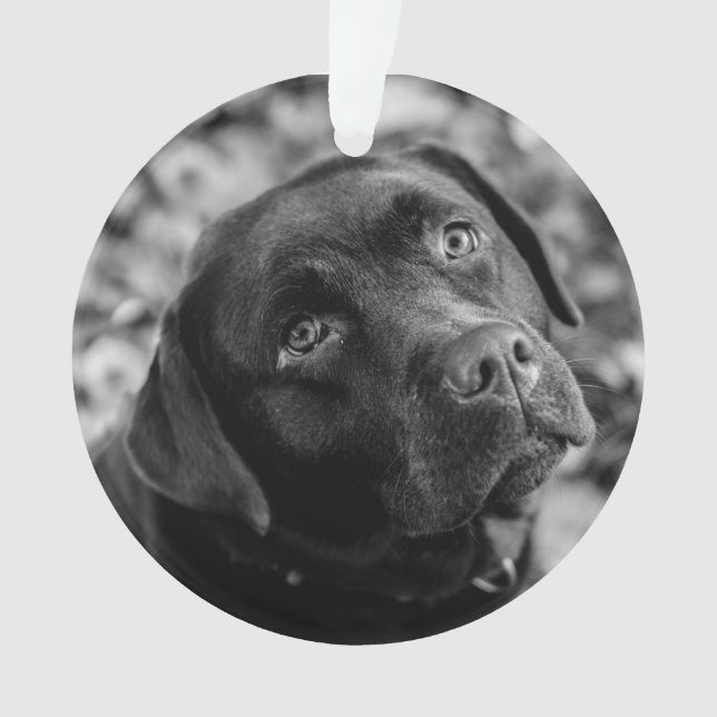 Black Lab customisable Christmas Ornament (Front)