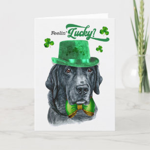 Black Lab Dog Feelin' Lucky St Patrick's Day Holiday Card