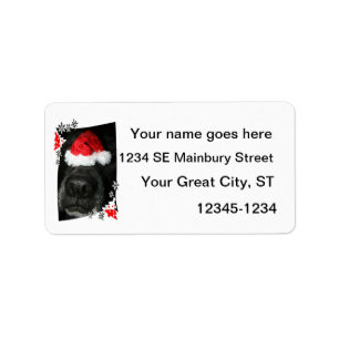 Black lab dog nose with santa hat photograph label