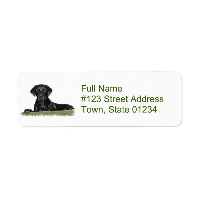 Black Lab Dog Return Address Label (Front)