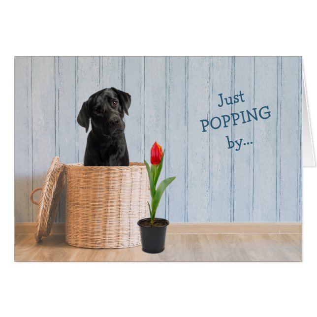 Black Lab Dog Wicker Basket Birthday Card (Front Horizontal)