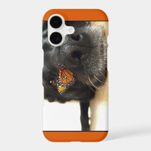 BLack Lab Dog With Butterfly