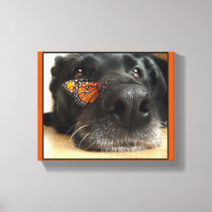 BLack Lab Dog With Butterfly Canvas Print