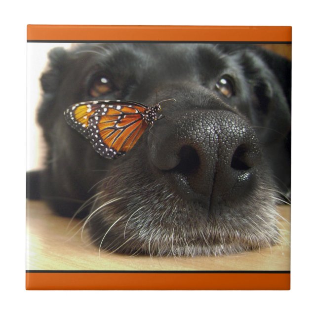 BLack Lab Dog With Butterfly Tile (Front)