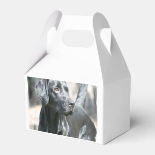 Black Lab Favour Box
