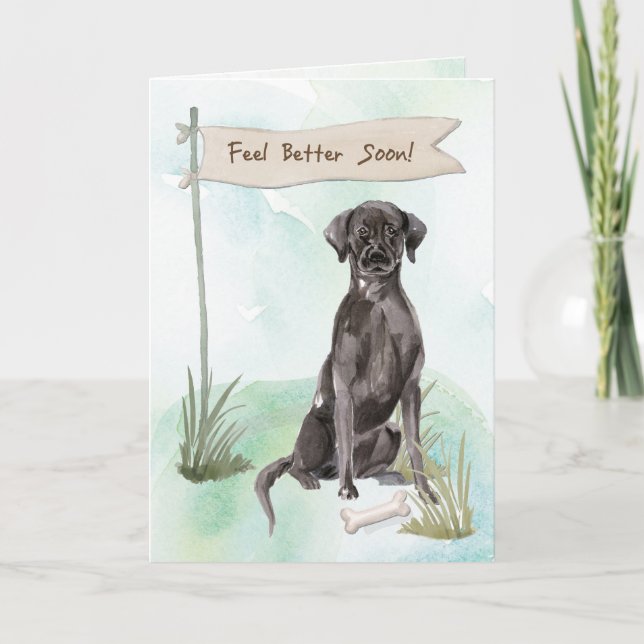 Black Lab Feel Better After Surgery with Dog Card (Front)