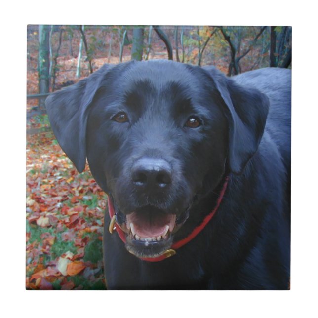 Black Lab Fine Art Painting  of Hunting Dog Ceramic Tile (Front)