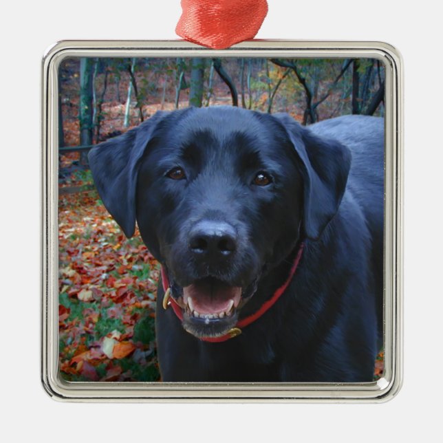 Black Lab Fine Art Painting  of Hunting Dog Metal Tree Decoration (Front)