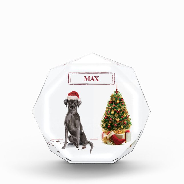 Black Lab Funny Christmas Dog and Tree Photo Block (Front)