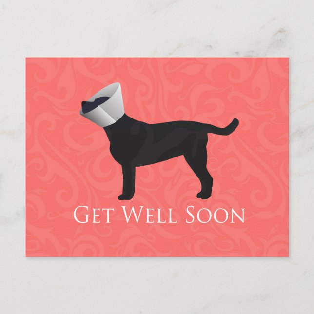 Black Lab Get Well Soon Design Postcard (Front)