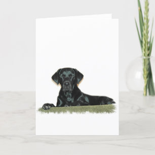 Black Lab Greeting Card