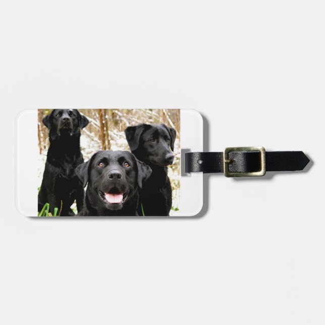 black lab group luggage tag (Front Horizontal)