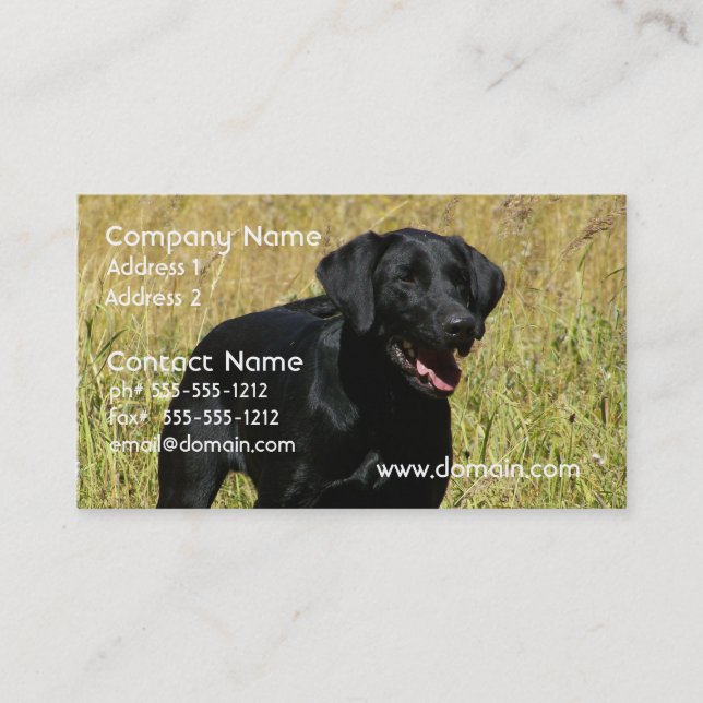 Black Lab in Field Business Cards (Front)