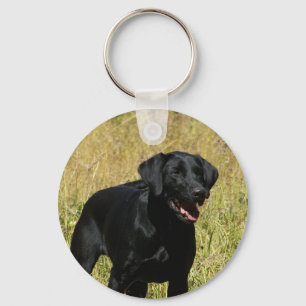 Black Lab in Field Keychain