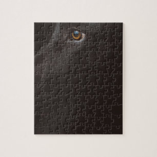 black lab jigsaw puzzle
