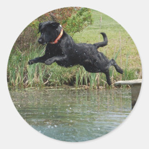 Black Lab Jumping Classic Round Sticker
