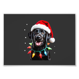 Black Lab Labrador Christmas Tree Light Pajama Dog Photo Print