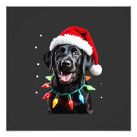 Black Lab Labrador Christmas Tree Light Pajama Dog
