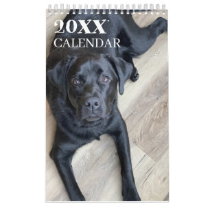 Black Lab Labrador Retriever   Calendar