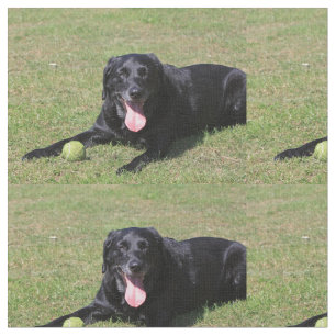 black lab laying.png fabric