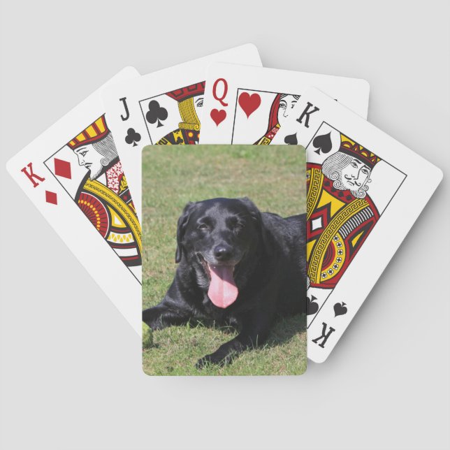 black lab laying.png playing cards (Back)