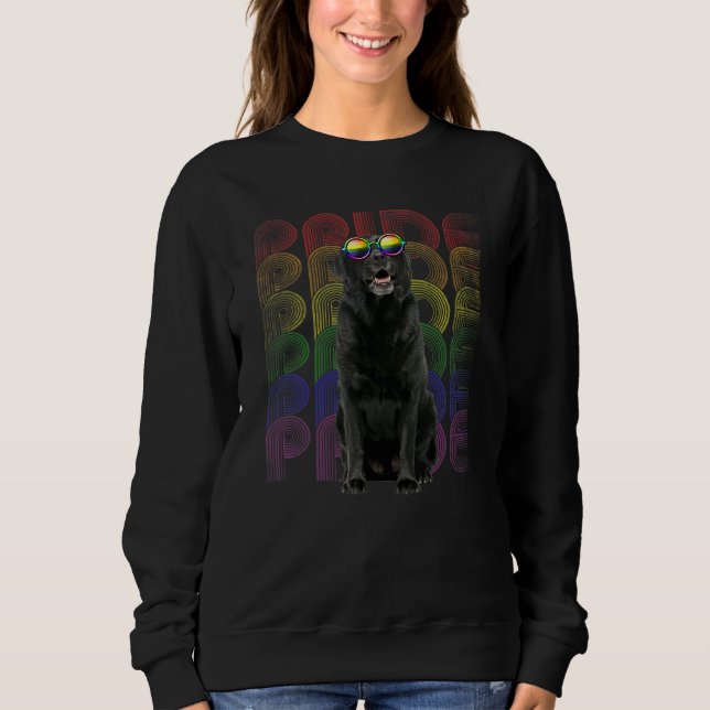 Black Lab Lgbt-Q Flag Gay Pride Lesbian Dog Lgbt M Sweatshirt (Front)