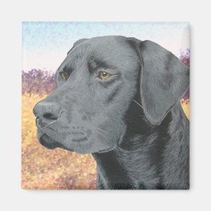 Black Lab Magnet
