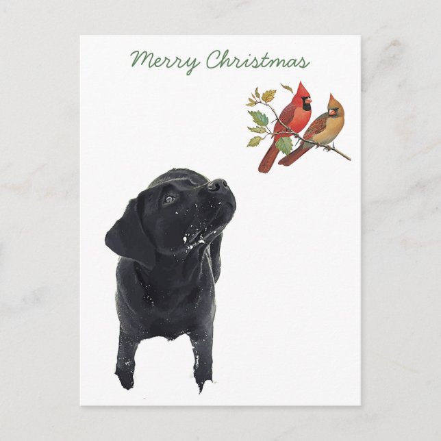 Black Lab Merry Christmas Cute Dog Birds Labrador Holiday Postcard (Front)