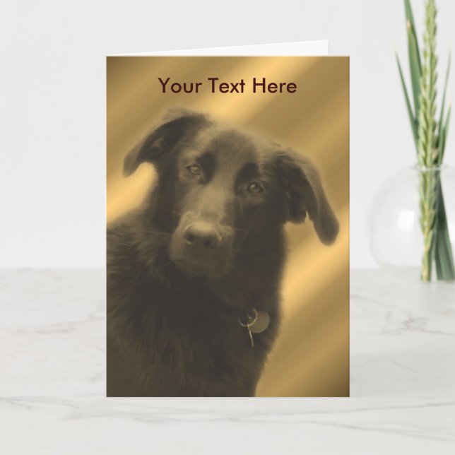 Black Lab Mix Cute Dog Card (Front)