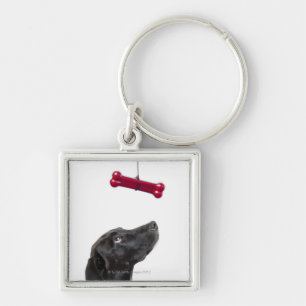 Black lab mixed dog with red dog bone key ring