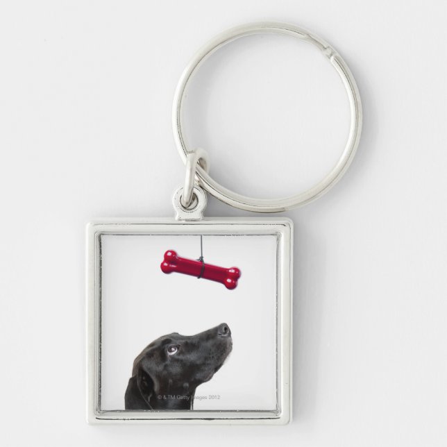 Black lab mixed dog with red dog bone key ring (Front)