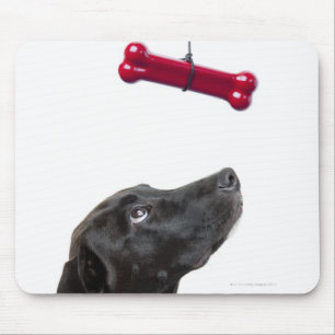 Black lab mixed dog with red dog bone mouse pad