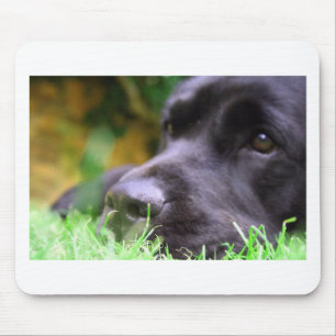 black lab mouse pad