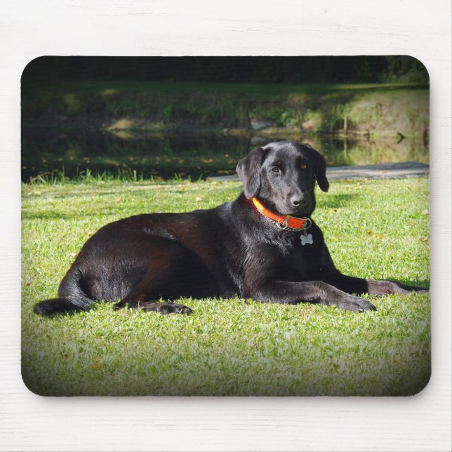 Black Lab Mouse Pad (Front)