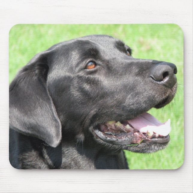 Black Lab Mouse Pad (Front)