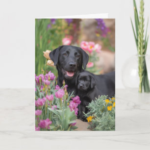 Black Lab Mum Mother’s Day Love Card
