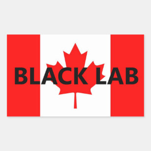 Black Lab Name On Flag Rectangular Sticker