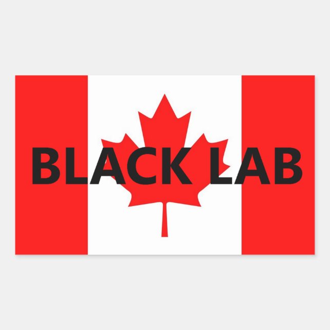 Black Lab Name On Flag Rectangular Sticker (Front)