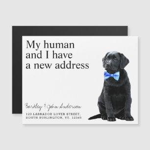 Black Lab New Address Dog Moving Announcement Card
