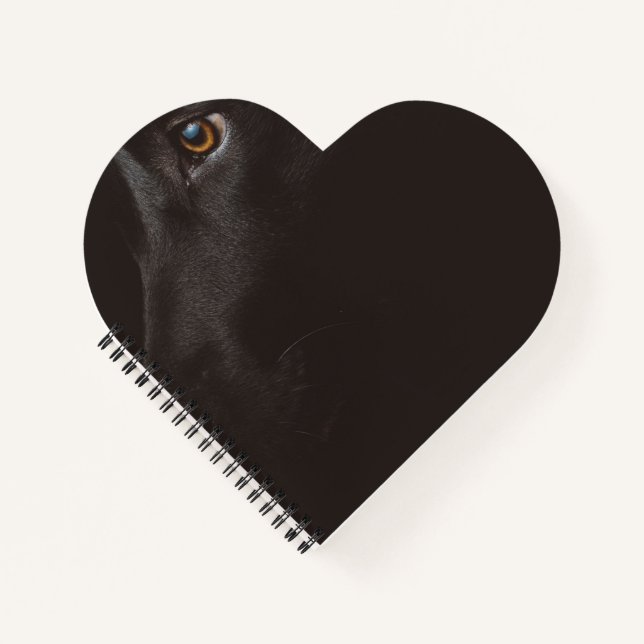 black lab notebook (Front)