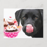 Black Lab Party - Dog Birthday - Cupcake Labrador