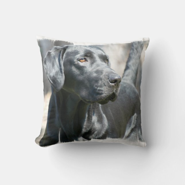 Black Lab  Pillow (Front)
