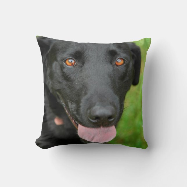 Black Lab Pillow (Front)