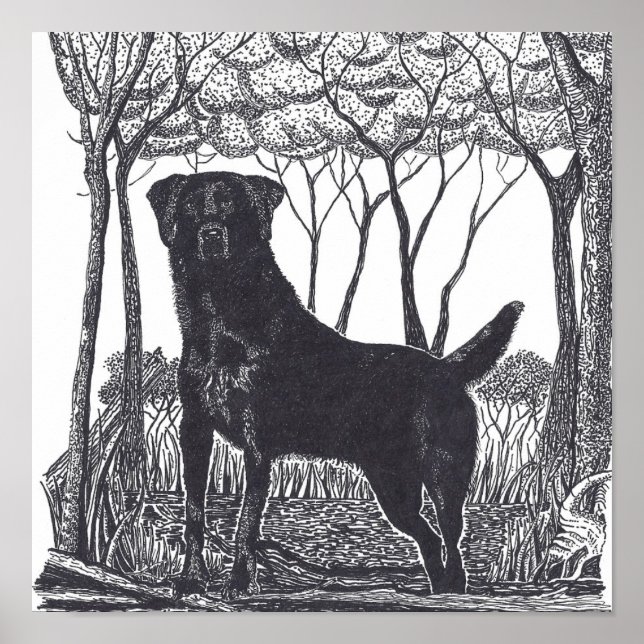 black lab poster (Front)