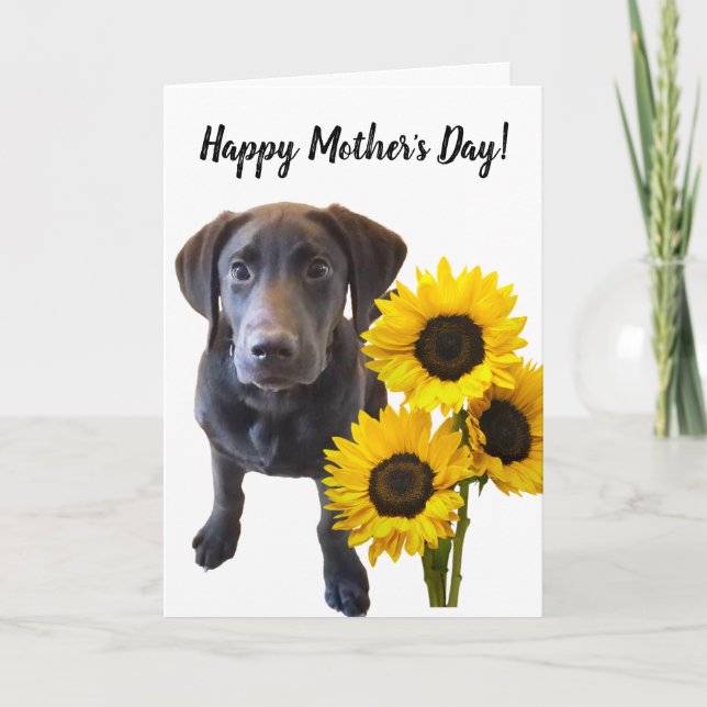 Black Lab Puppy and Sunflowers Pun Card (Front)